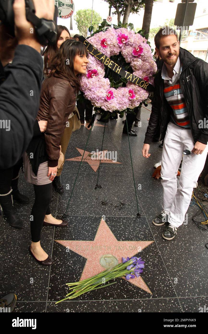 Nicht lange nach ihrem Tod wurde ein Kranz auf den Hollywood Walk of Fame Stern der verstorbenen Elizabeth Taylor gelegt. Medien und Fans versammelten sich um den Stern, auf dem auch eine Handvoll Irisen platziert waren. Im Alter von 79 Jahren starb Taylor Berichten zufolge an Herzinsuffizienz im CEDARS-Sinai Hospital IN L.A. hinterließ ein Vermächtnis, das von zwei Oscars und dem Titel Dame Commander der Theaterin des britischen Empire hervorgehoben wurde. Der in England geborene Taylor, der Star der klassischen Filme „Katze auf einem heißen Blechdach“ und „Kleopatra“, genoss ein ziemlich dramatisches Liebesleben Stockfoto