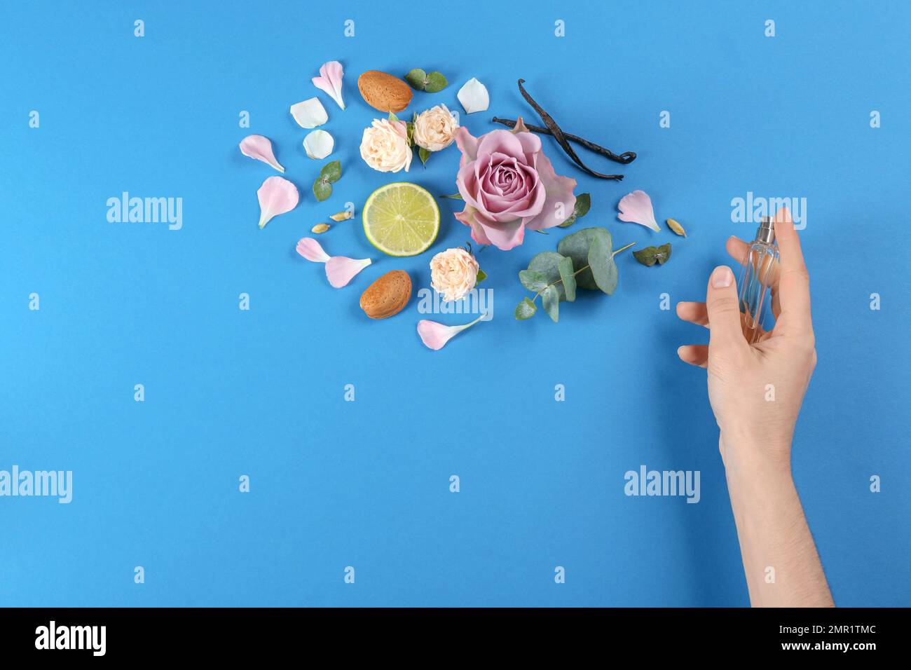 Eine Frau mit Parfüm. Duftzusammensetzung, Blumen und Limette auf blauem Hintergrund, Draufsicht Stockfoto