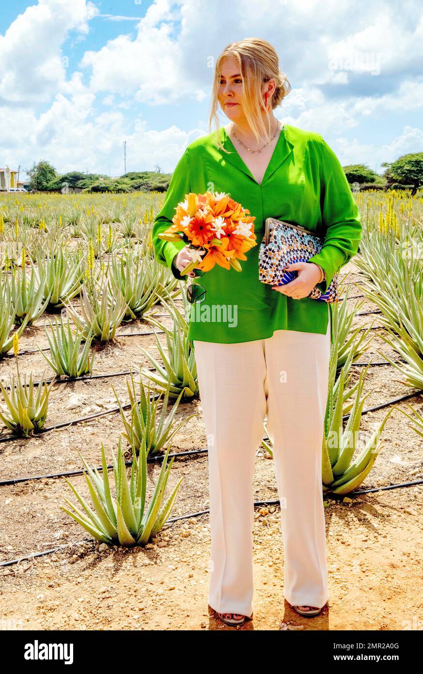 Oranjestad, Aruba. 31. Januar 2023. Prinzessin Amalia aus den Niederlanden im Royal Aruba Aloe in Oranjestad am 31. Januar 2023 wurde Aruba Aloe Balm N.V. 1890 von Cornelis Eman gegründet und ist damit das älteste Aloe Vera Unternehmen der Welt am 3. Tag des Besuchs im Caribbean Credit: Albert Nieboer/Netherlands OUT/Point de Vue OUT/dpa/Alamy Live News Stockfoto