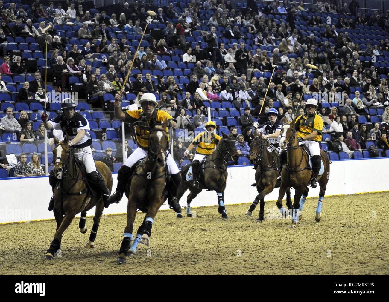 Internationale Teams treten beim Gaucho International Polo in der O2 Arena gegeneinander an. Die Veranstaltung ist das weltweit erste Hallenspiel für Polo-Turniere und umfasste England gegen Argentinien, Schottland gegen Südafrika und Oxford gegen Cambridge. Zu der Veranstaltung gehörte auch ein Prominentenspiel mit Liz McClarnon und Charlotte Christodoulou gegen Kenny Logan und Mike Bushnell. London, Großbritannien. 2/24/11. Stockfoto