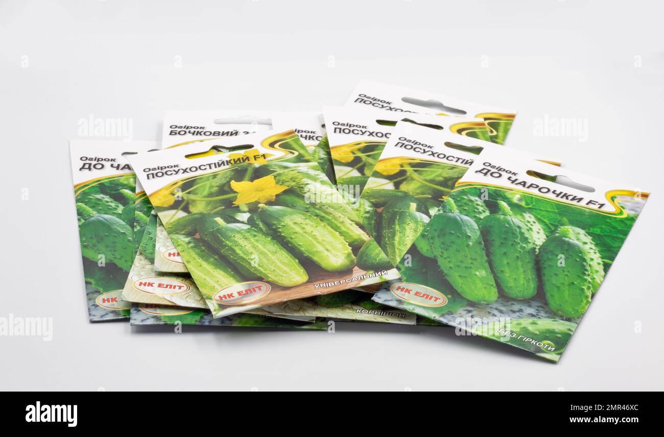 Kiew, Ukraine - 06. Mai 2022: Studio Shoot of TM Elit Samensets für den Anbau von Gurken im Garten, Nahaufnahme auf Weiß. Stockfoto