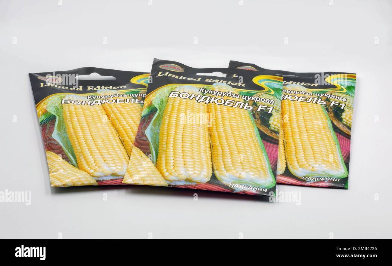 Kiew, Ukraine - 06. Mai 2022: Studio Shoot of TM Elit Samensets für den Anbau von Mais im Garten, Nahaufnahme auf Weiß. Stockfoto