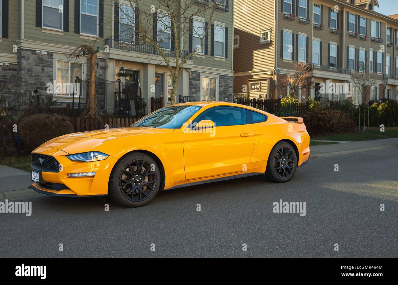 Gelber Muskelwagen Ford Mustang auf dem Land. Frontscheinwerfer eines modernen gelben Autos auf einer Straße. Niemand, Straßenfoto, Editorial-Januar 30,2023... Stockfoto