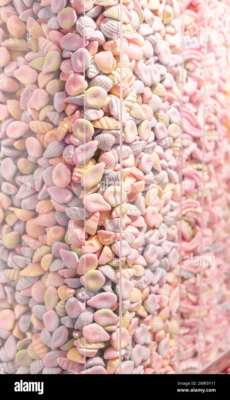 Muscheln und Süßigkeiten aus Gummi Stockfoto