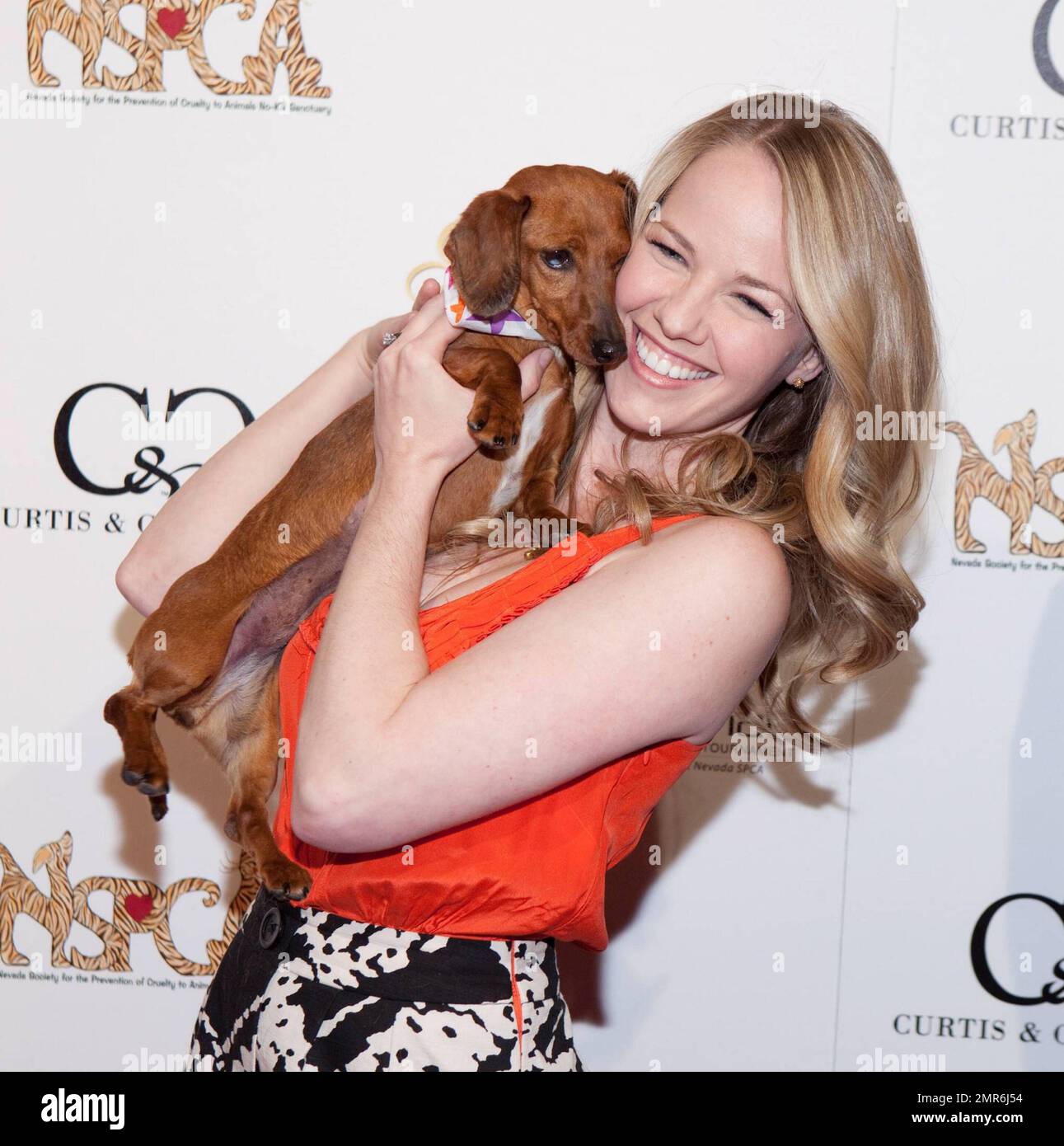 Kristen Hertzenberg beim vierten jährlichen Jennifer Harman Charity Poker Tournament, ausgerichtet vom Venetian Poker Room. Die Einnahmen aus der Veranstaltung kommen dem Nevada SPCA zugute. Las Vegas, Nevada 4/13/10. Stockfoto