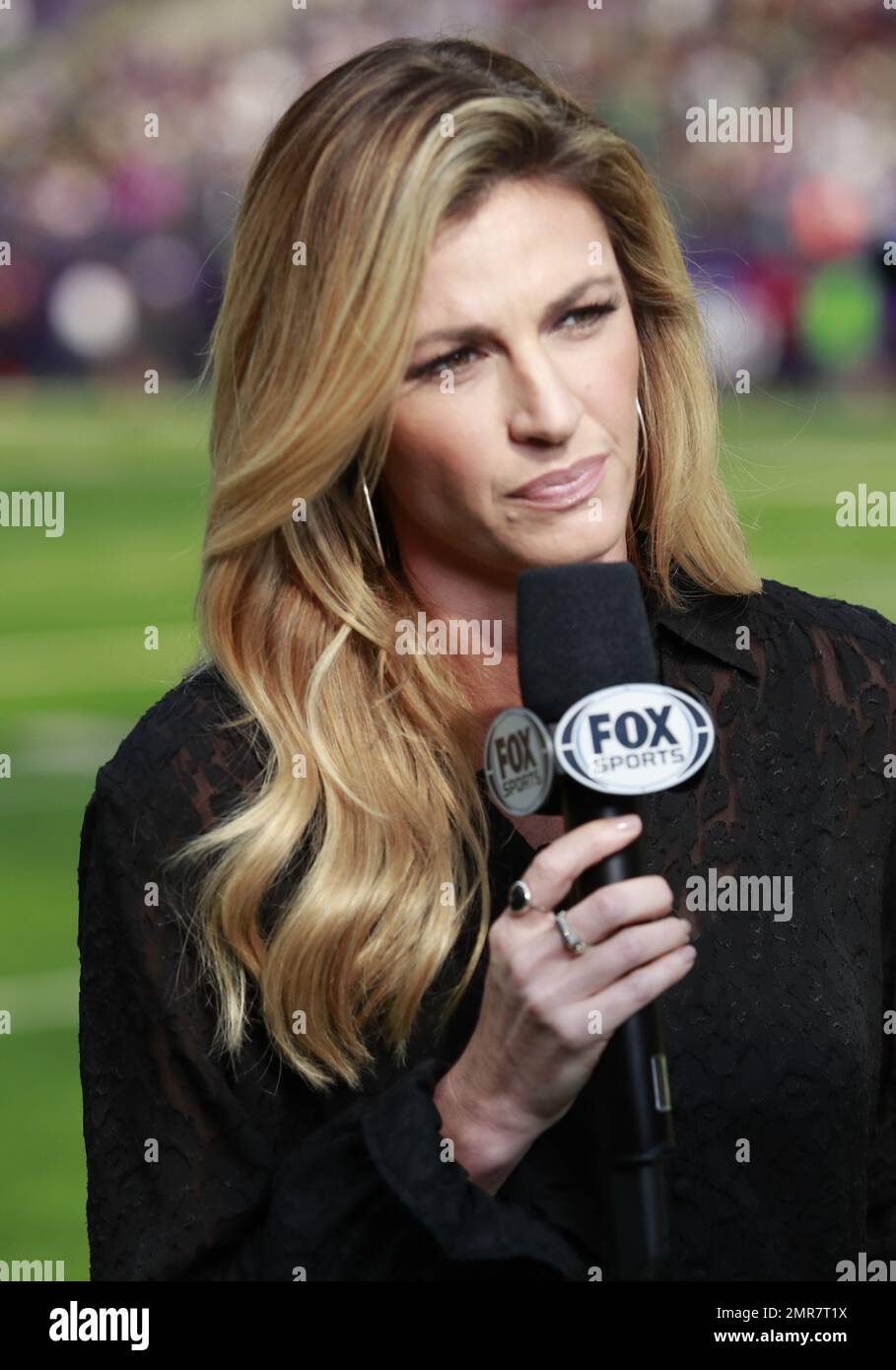 Fox Sports Side-line Reporter Erin Andrews reports during an NFL football between the Minnesota Vikings and the Green Bay Packers game Sunday, Oct. 15, 2017, in Minneapolis. (Jeff Haynes/AP Images for Panini) Stockfoto