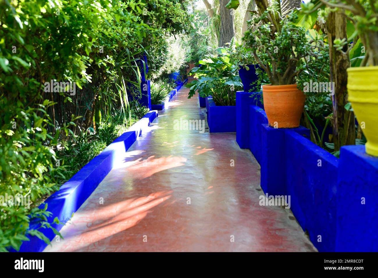 Jardin Majorelle, botanischer Garten in Marrakesch, Marokko, Afrika Stockfoto