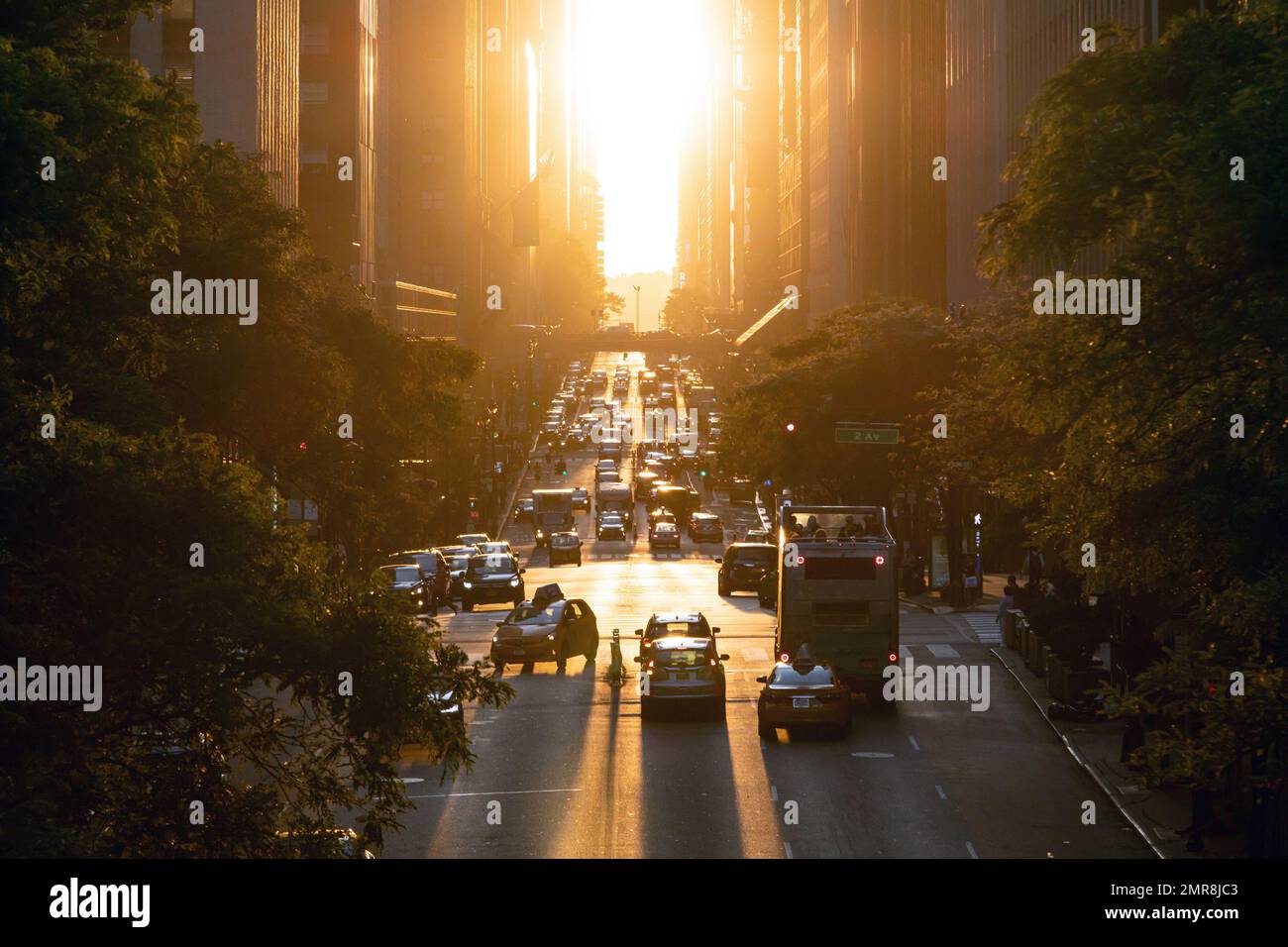 Staus mit Autos, Taxis und Bussen auf der 42. Street in Midtown Manhattan New York City mit Sonnenuntergang zwischen den Gebäuden im Hintergrund Stockfoto