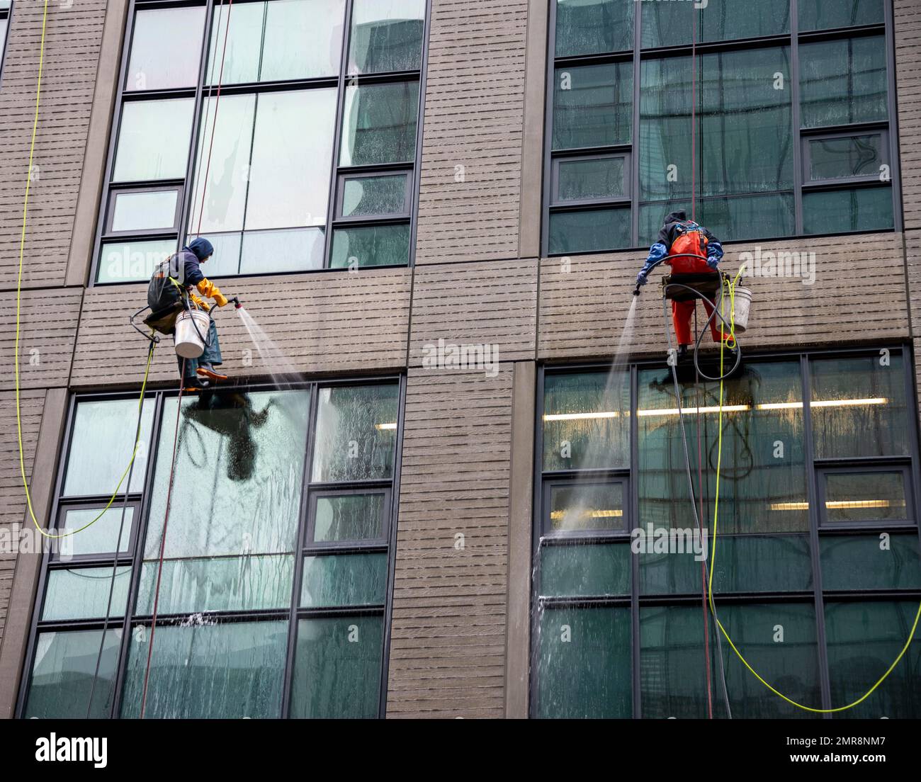 Zwei Fensterreiniger Seilen sich auf einem Wolkenkratzer ab, Seattle, Washington, USA, Nordamerika Stockfoto