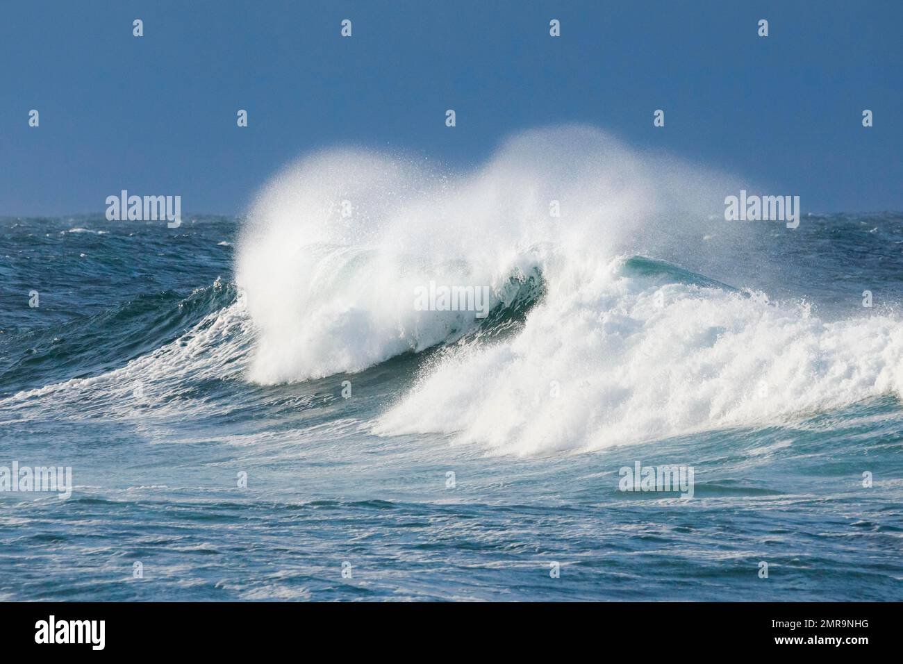 Eine große Welle bricht auf dem offenen Meer vor der Südküste Englands, County Dorset bei West Lulworth Stockfoto