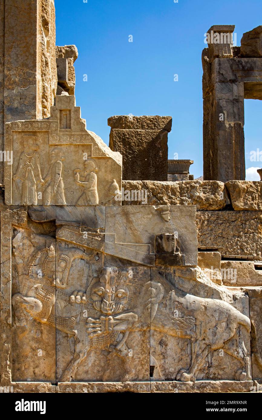 Hilfslöwe kämpft mit Bullen, Treppe von Darius-Plast, Persepolis, Persepolis, Iran, Asien Stockfoto Hilfslöwe kämpft mit Bullen, Treppe von Darius-Plast, Persepolis, Persepolis, Iran, Asien Stockfoto