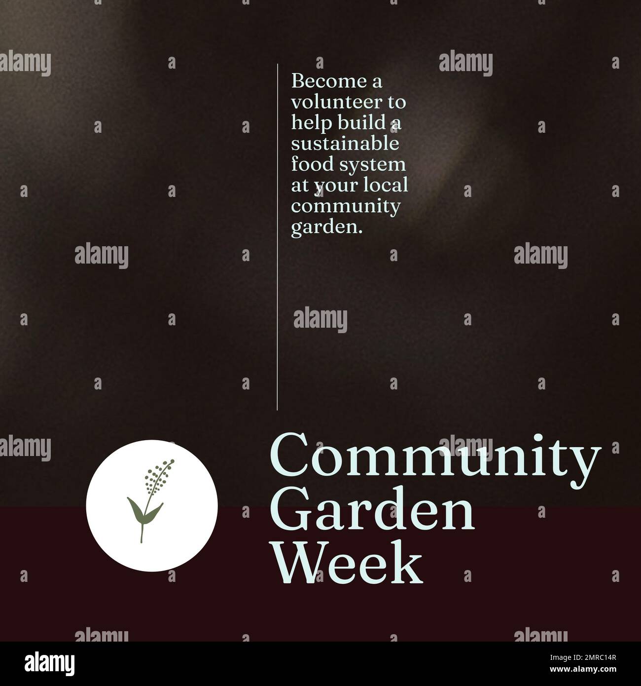 Komposition von Text und Kopierbereich der Community Garden Week auf schwarzem Hintergrund Stockfoto
