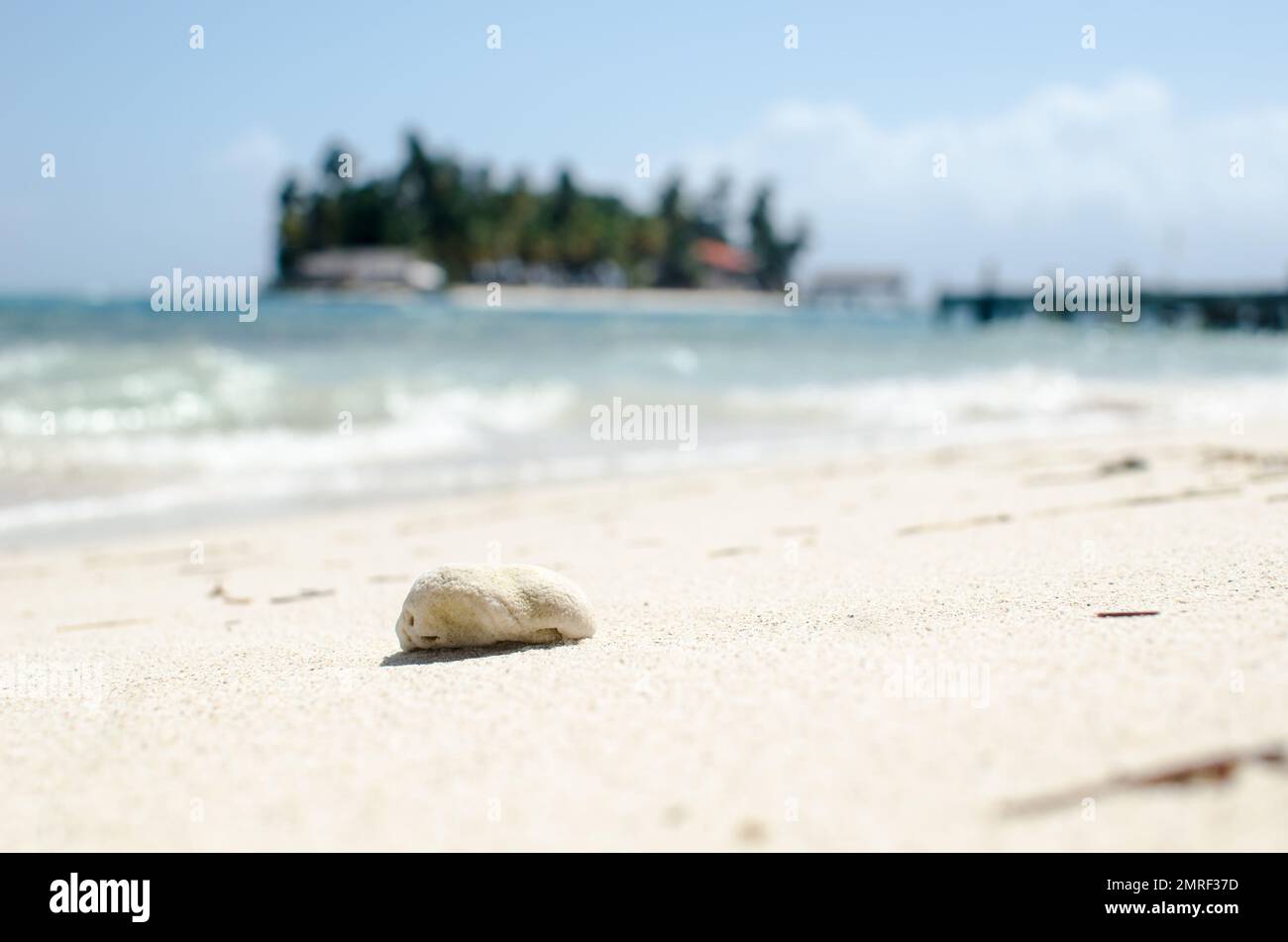 Korallenfelsen am einsamen weißen Sandstrand Stockfoto