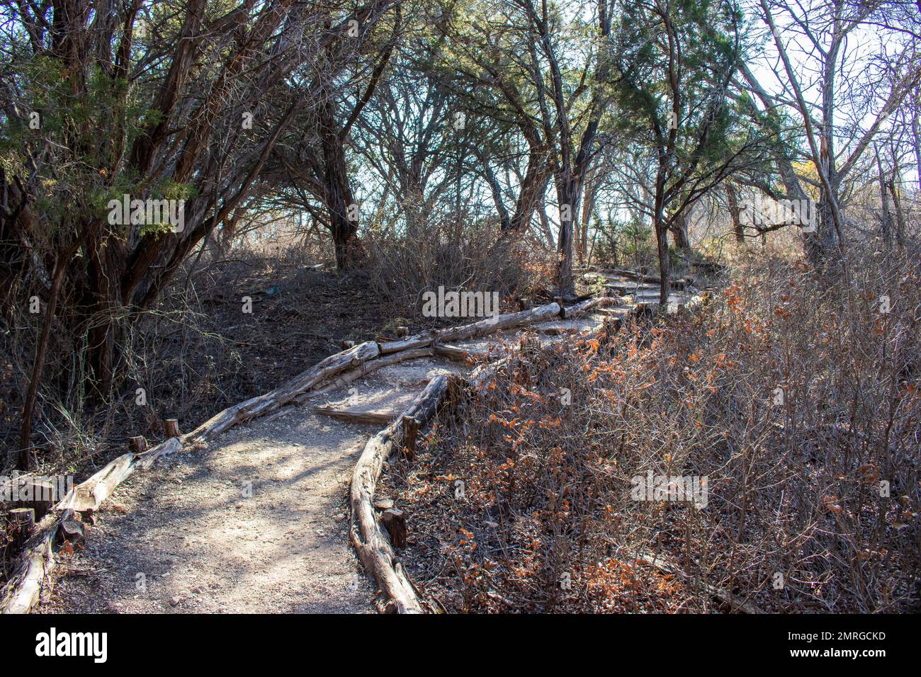 Naturlehrpfad durch den Wald im Abilene State Park Texas. Stockfoto