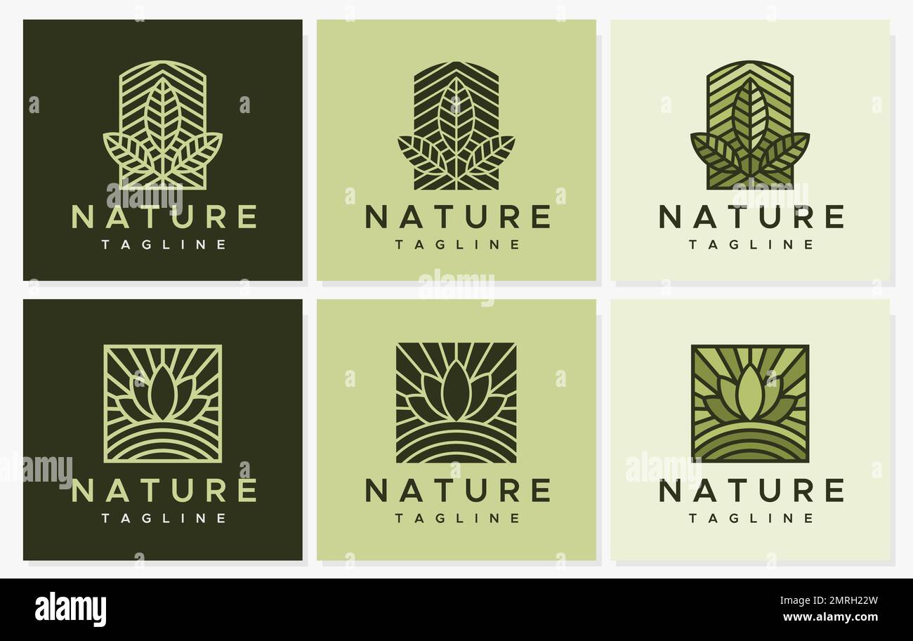 Minimalistisches Design mit Blattlogo. Grafikset mit Naturblatt-Logo. Stock Vektor