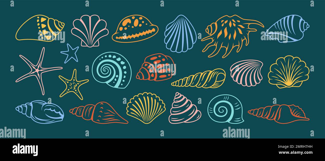 Ein Cartoon-Set mit Muschelspüle. Ozean Ziertiere exotische Unterwassermuschel Muscheln Meeresspirale Schnecke Seesterne Symbolsammlung. Strandmuscheln Wasserdesign Illustration Stock Vektor
