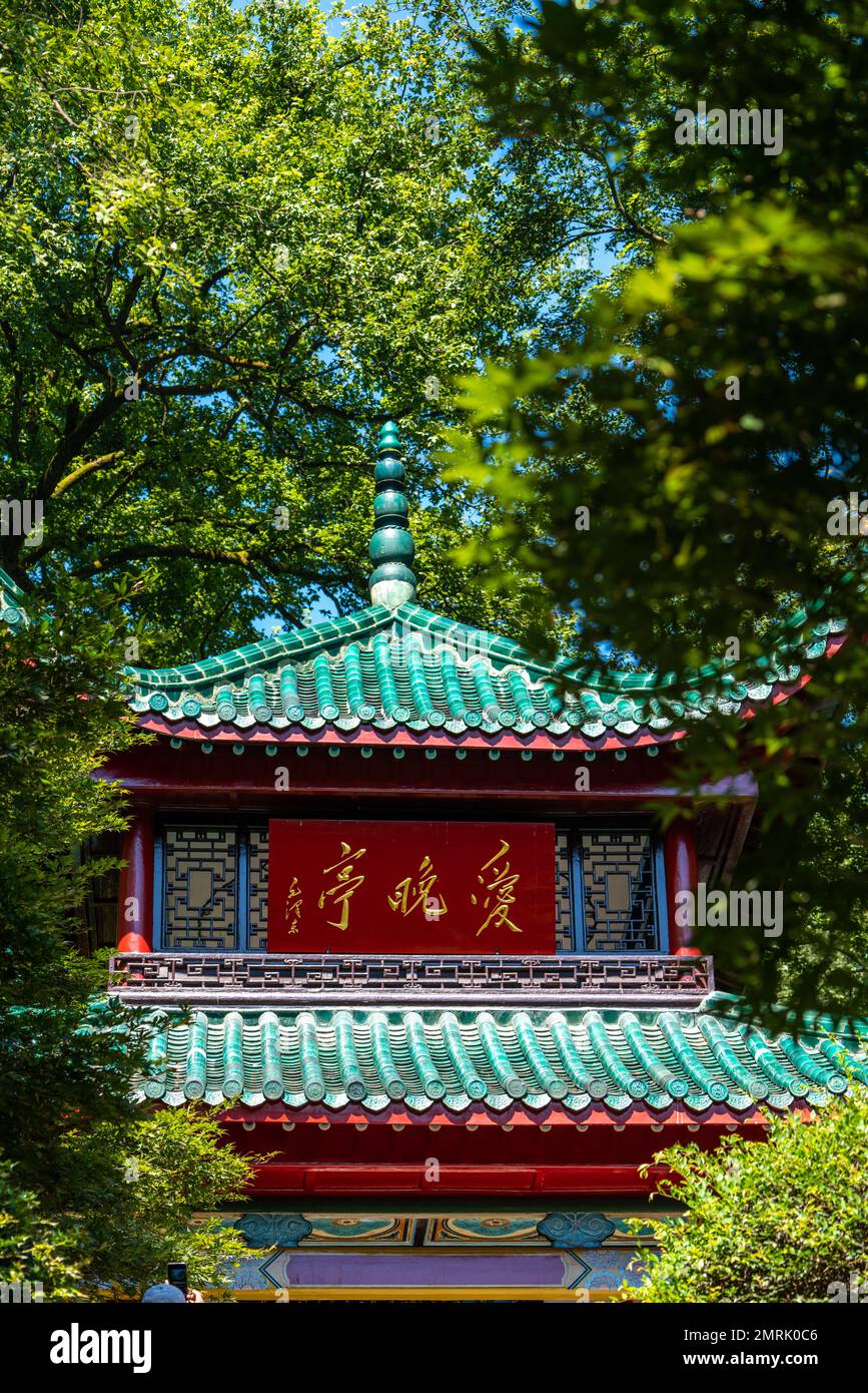 Ich liebe den Spätpavillon Stockfoto