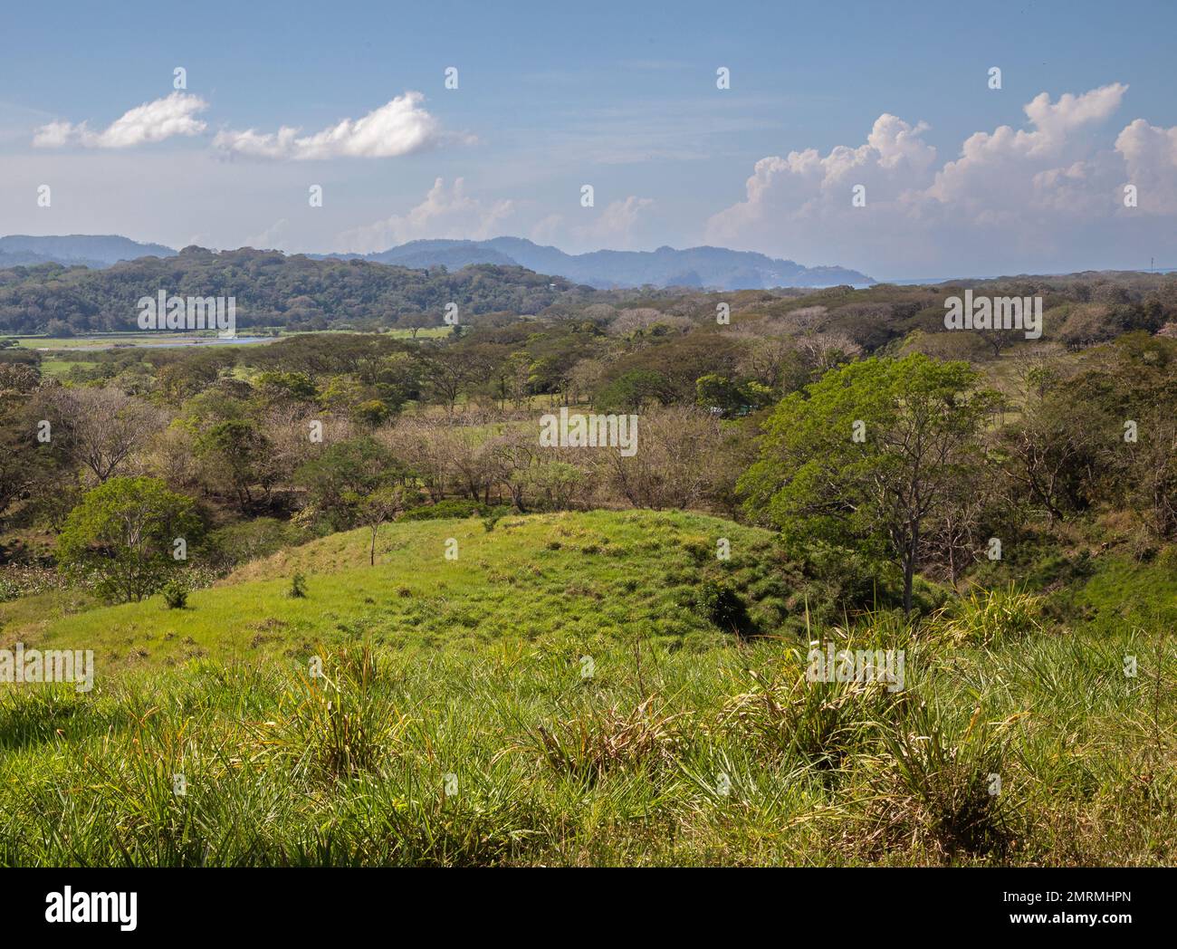 Üppige Vegetation und Landschaft des Zentralpazifiks von Costa Rica Stockfoto