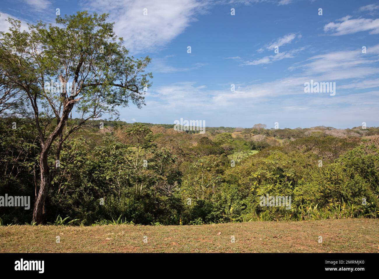 Üppige Vegetation und Landschaft des Zentralpazifiks von Costa Rica Stockfoto