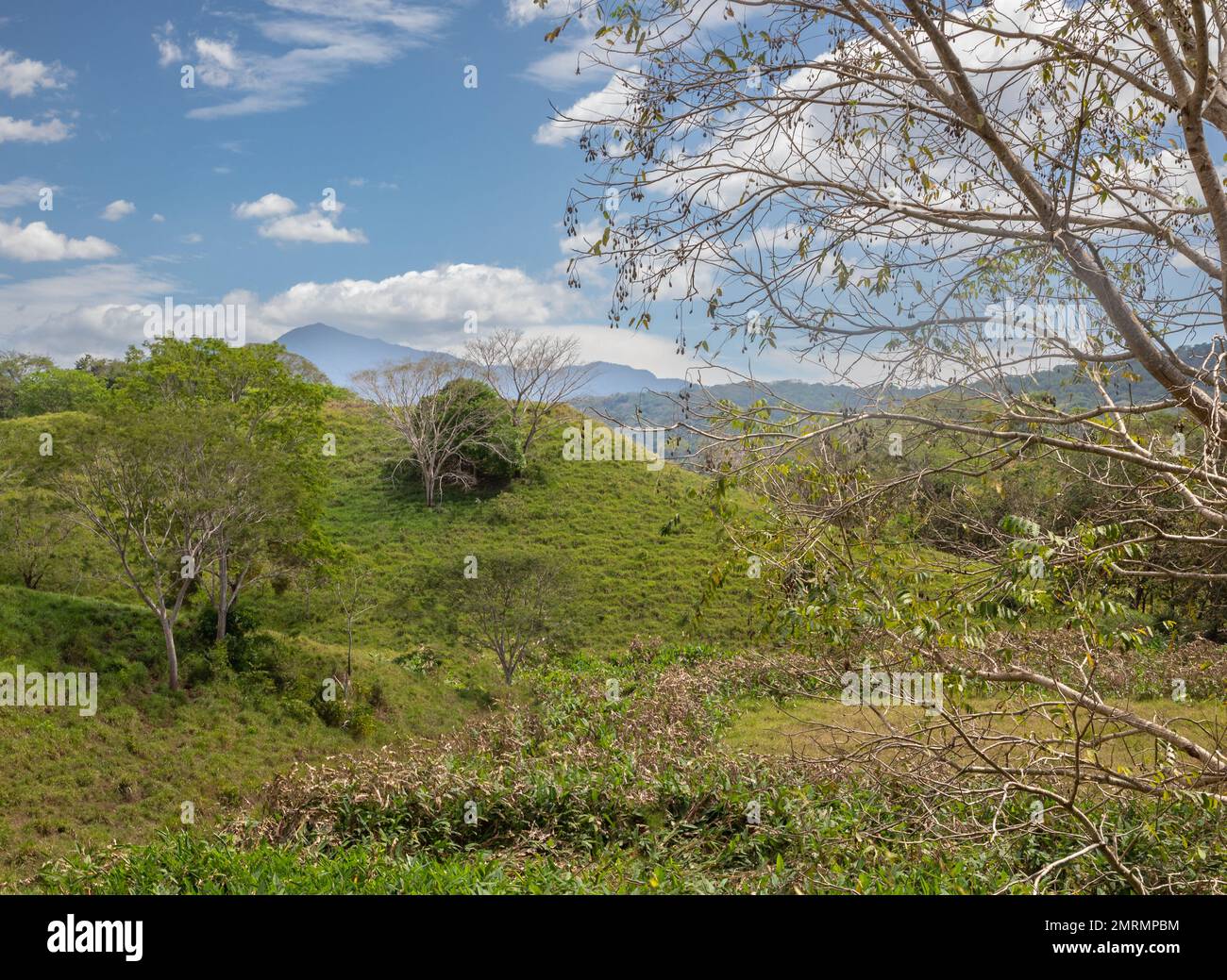 Üppige Vegetation und Berge im Zentralpazifik von Costa Rica Stockfoto