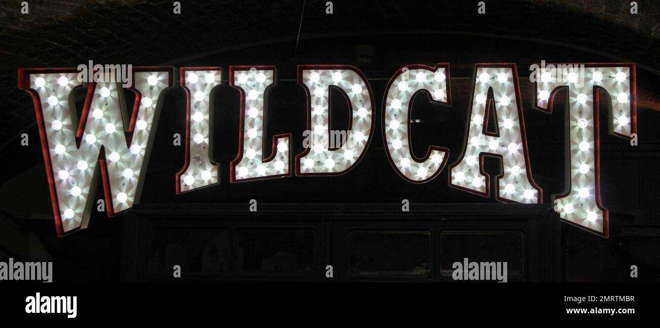 Tattoo-Fans versammeln sich zum Eröffnungstag der International London Tattoo Convention im Tobacco Dock. Dieses Jahr jährt sich der Kongress zum sechsten Mal und es wird voraussichtlich mehr als 20.000 Besucher zu seinen Attraktionen und Ausstellungen anlocken, darunter das Oxford British Tattoo History Museum, die El Rana Exhibition, Graffiti Kings, Vince Ray und die Boneshakers, Billie Rae und Scarlett Dagger, Unter anderem Magical Tattoing und Swallow Tattoo Studio. London, Großbritannien. 9/24/10. Stockfoto