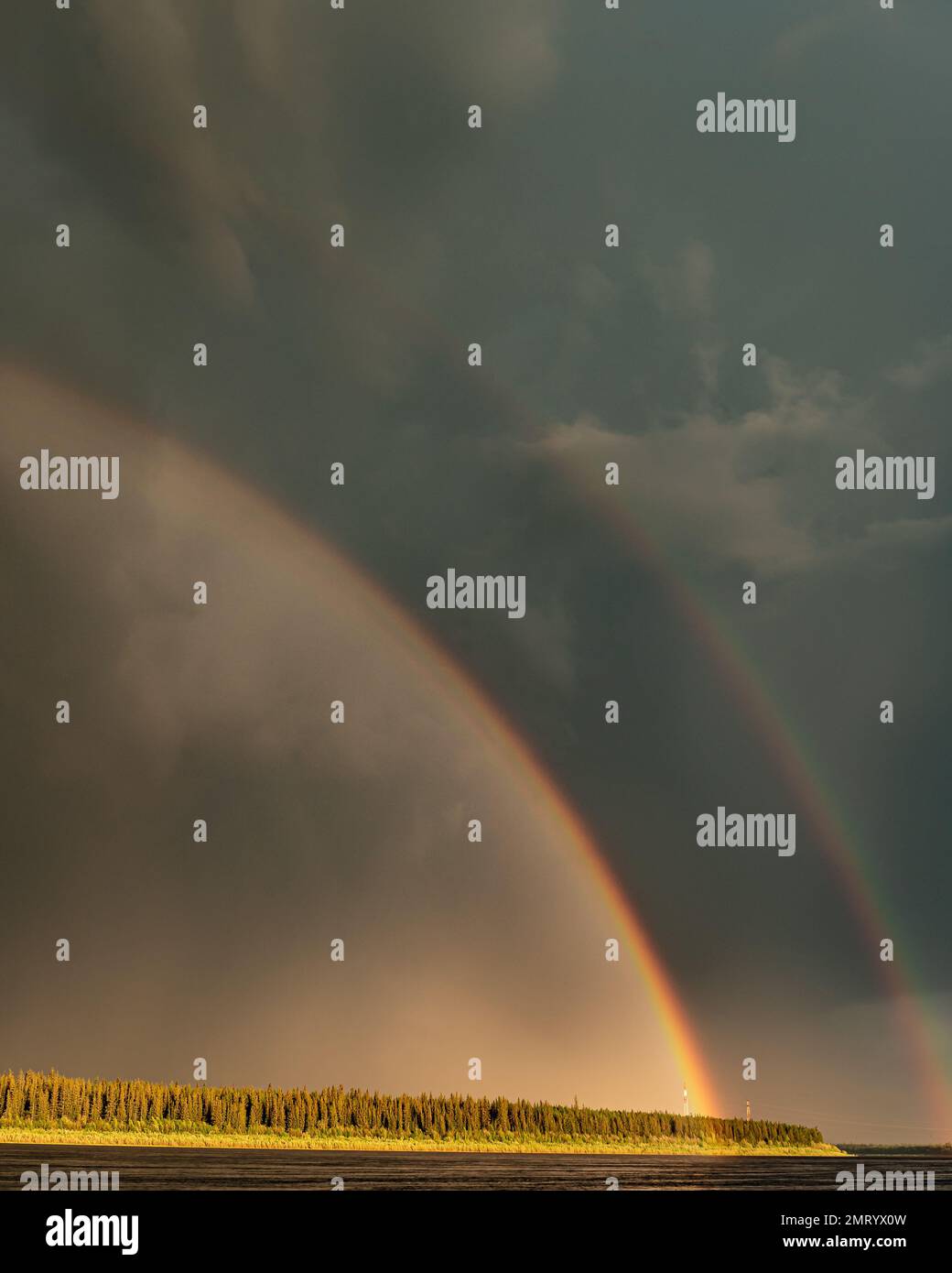 Ein Panorama eines doppelten Regenbogens vor dem Hintergrund von hellen Wolken entsteht aus Power-Line-Pylons und einem beleuchteten Wald. Vertikaler Rahmen. Stockfoto