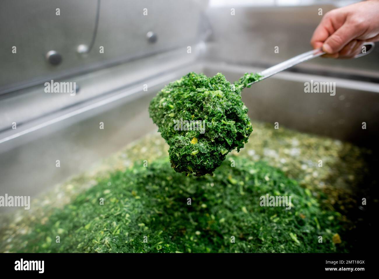 Oldenburg, Deutschland. 25. Januar 2023. Nico Winkelmann, Chefkoch und ...