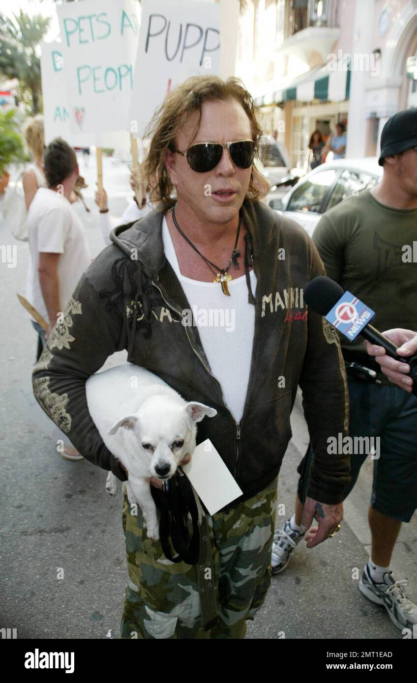 Mickey Rourke Puppy Mickey Rourke leitet eine Kundgebung vor Hot Dog Puppies in South Beach ...