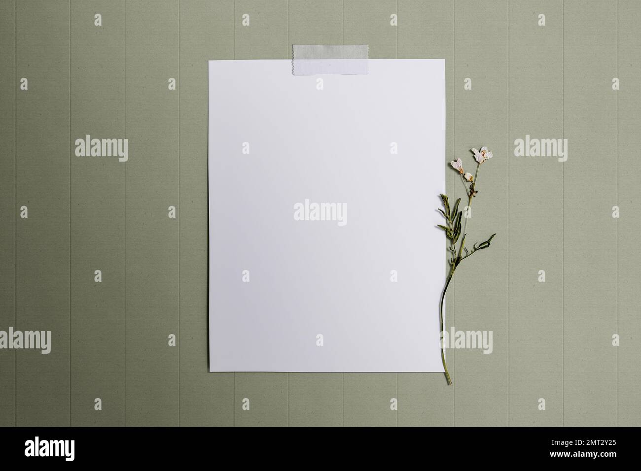 3D Abbildung eines leeren Papiers auf einem Cartoon-Hintergrund mit einer Blume Stockfoto