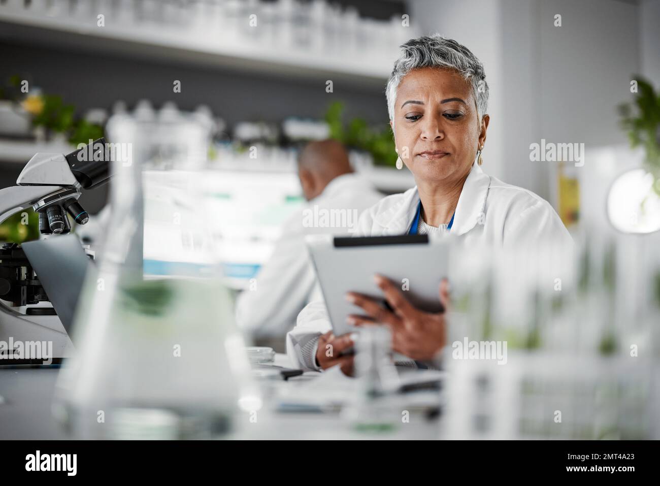 Frau, Lesen oder Tablet im wissenschaftlichen Labor in der medizinischen Forschung oder Innovationsideen der gentechnik. Pflanzenwissenschaftler, Arbeiter oder Stockfoto