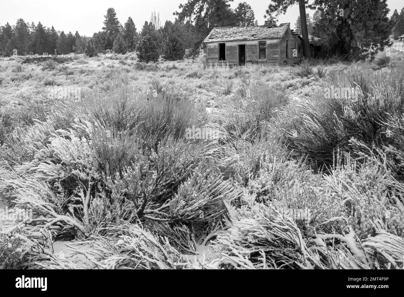 USA, Oregon, Central, Bend, Old Cookhouse im Winter Stockfoto