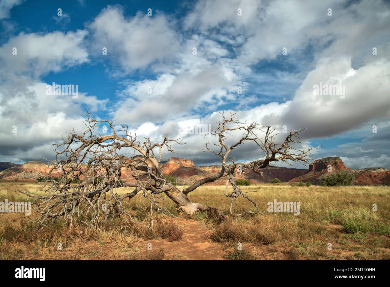 USA, Südwesten, New Mexico, Abiquiú, Ghost Ranch Stockfoto
