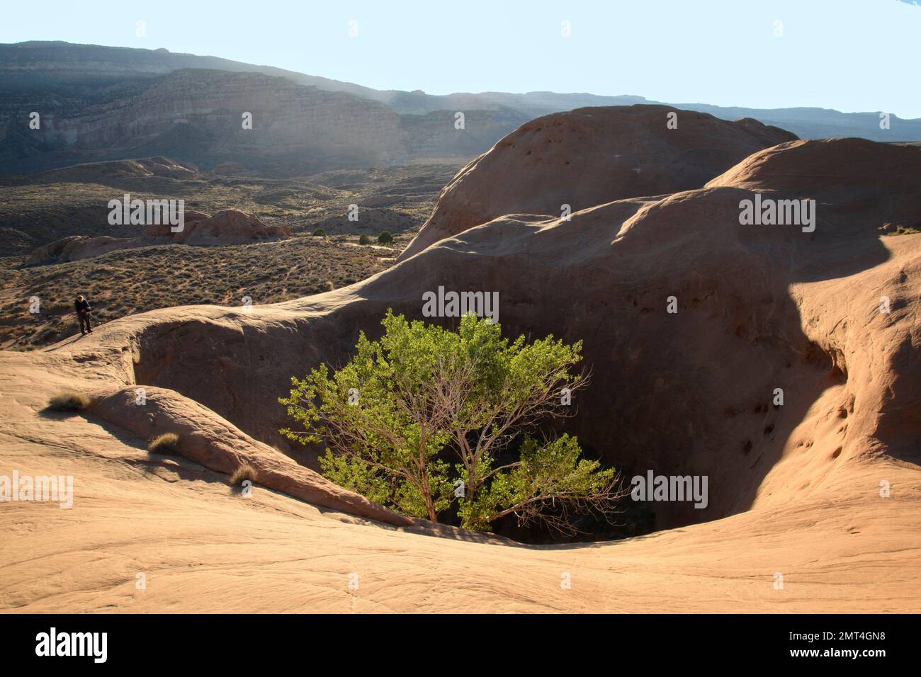 USA, Utah, Südwest, Colorado Plateau, Dance Hall Rock, Historische Stätte, Stockfoto