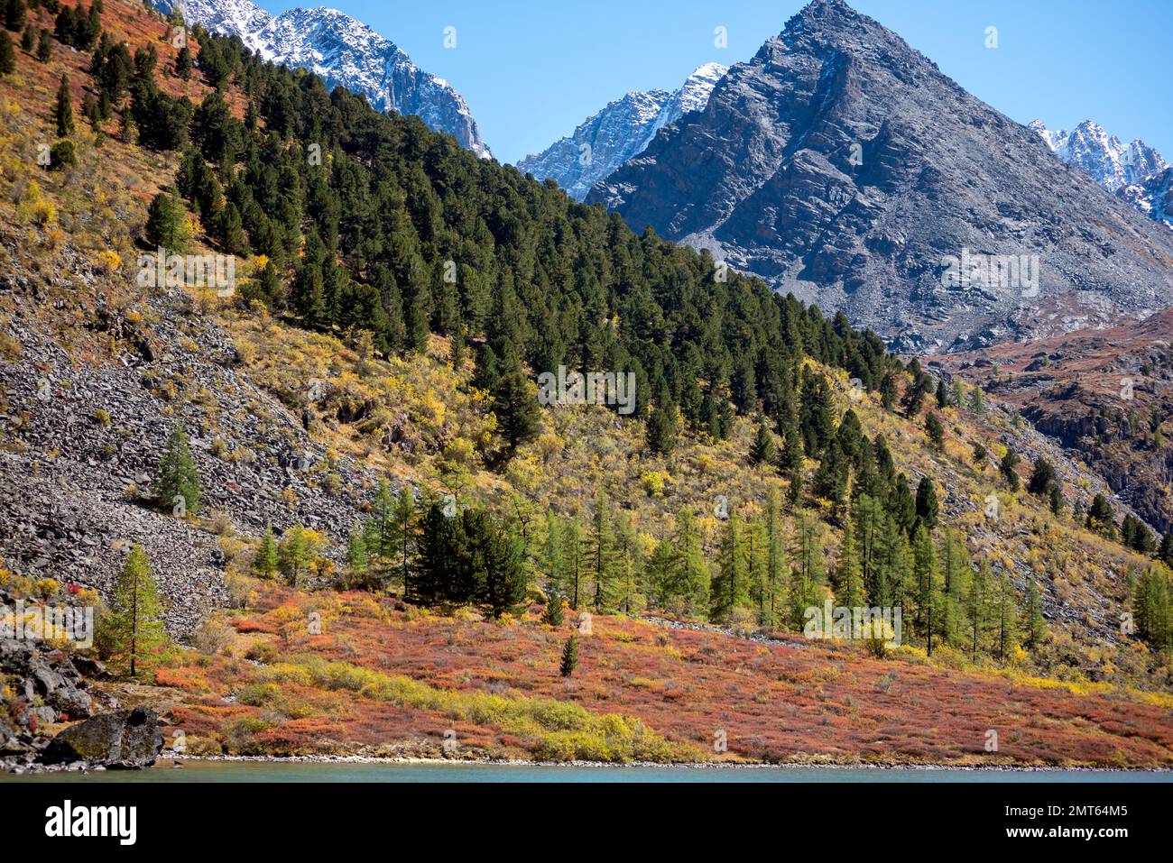 Ein scharfer Gipfel eines dreieckigen Steinbergs auf einem anderen Hang mit Bäumen neben dem Wasser eines Sees in Altai. Stockfoto