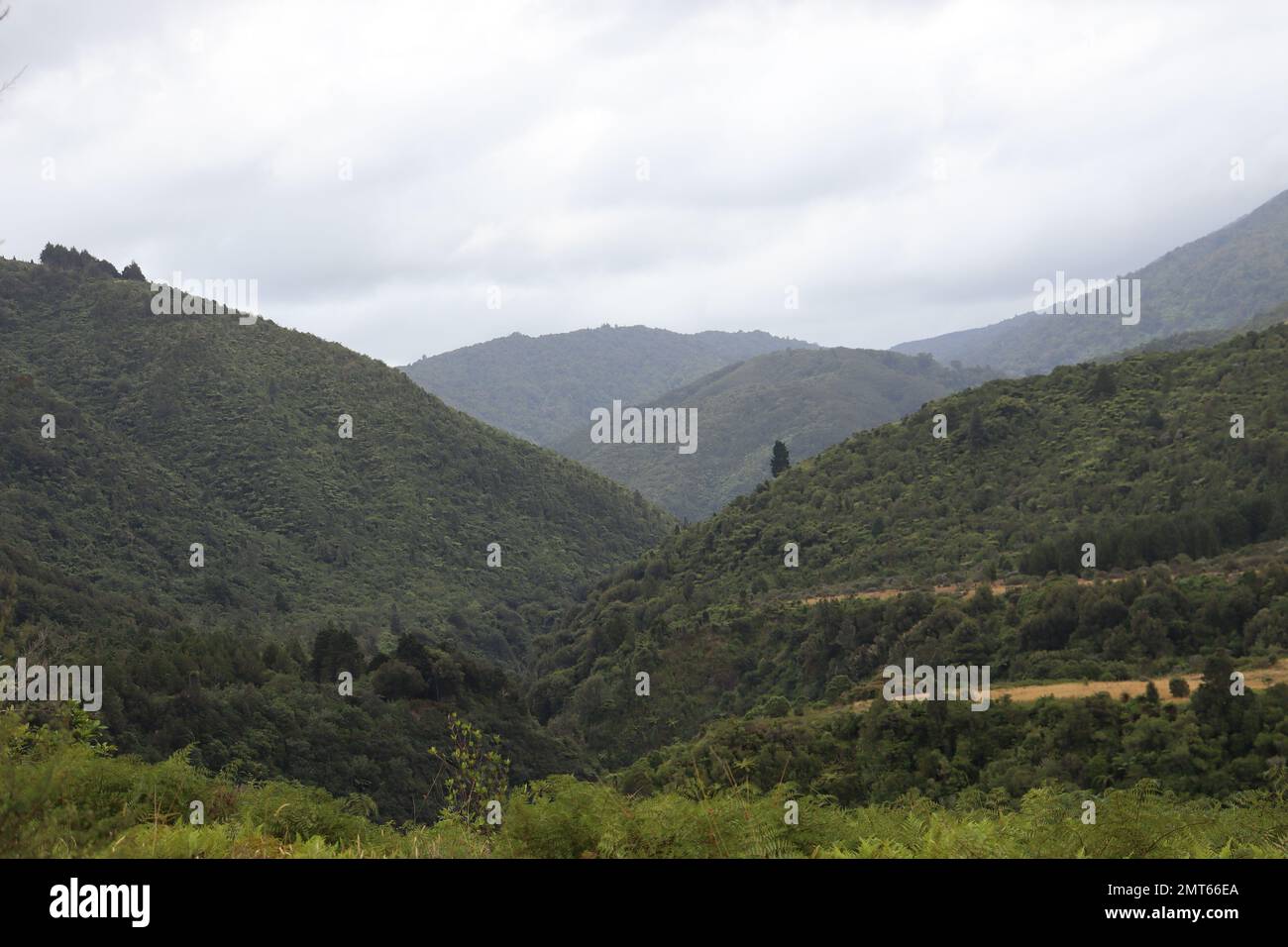 Berge und Long Grass Stockfoto