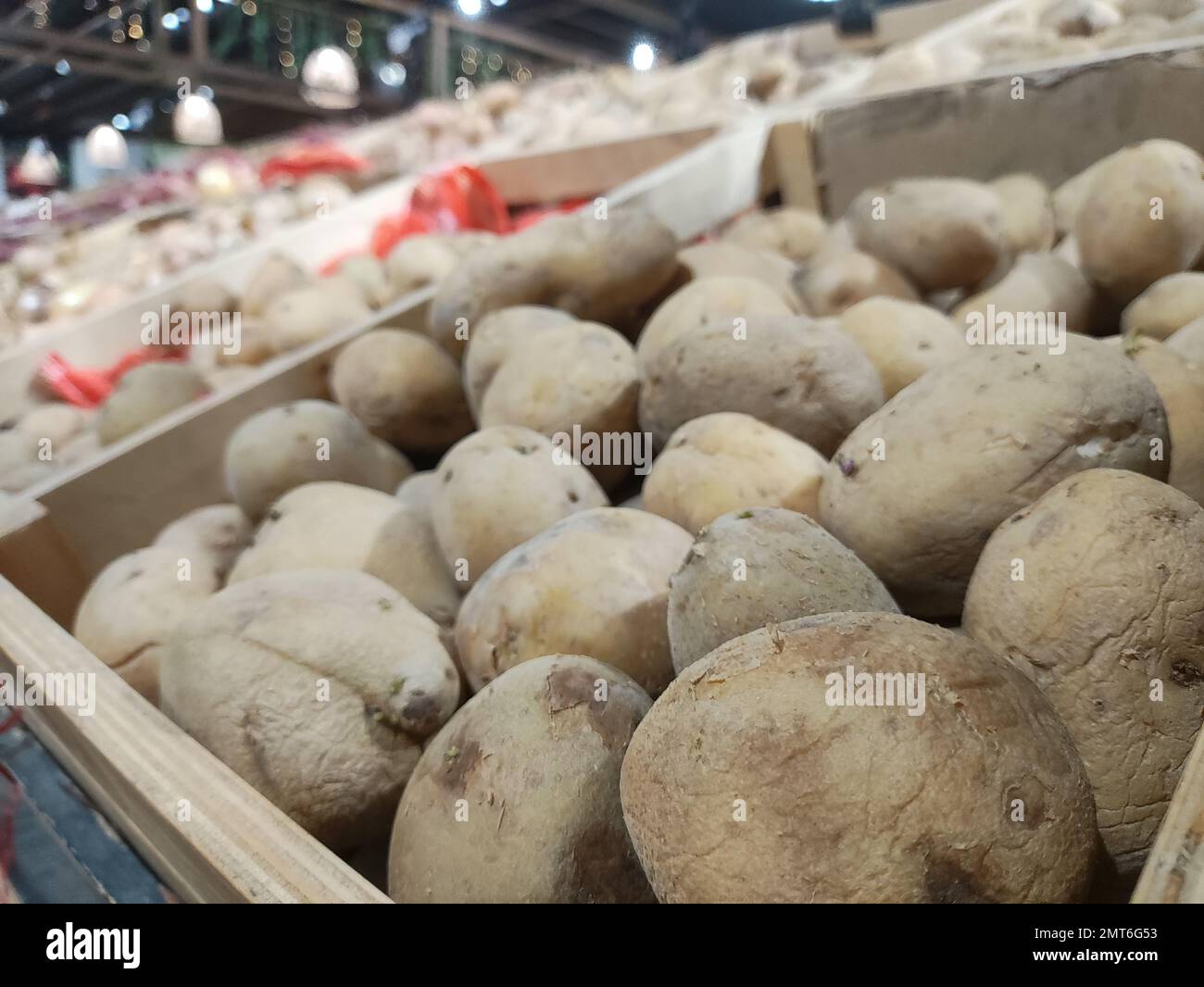 Selektives Fokusbild frischer Bio-Kartoffeln im Regal des Supermarkts Stockfoto