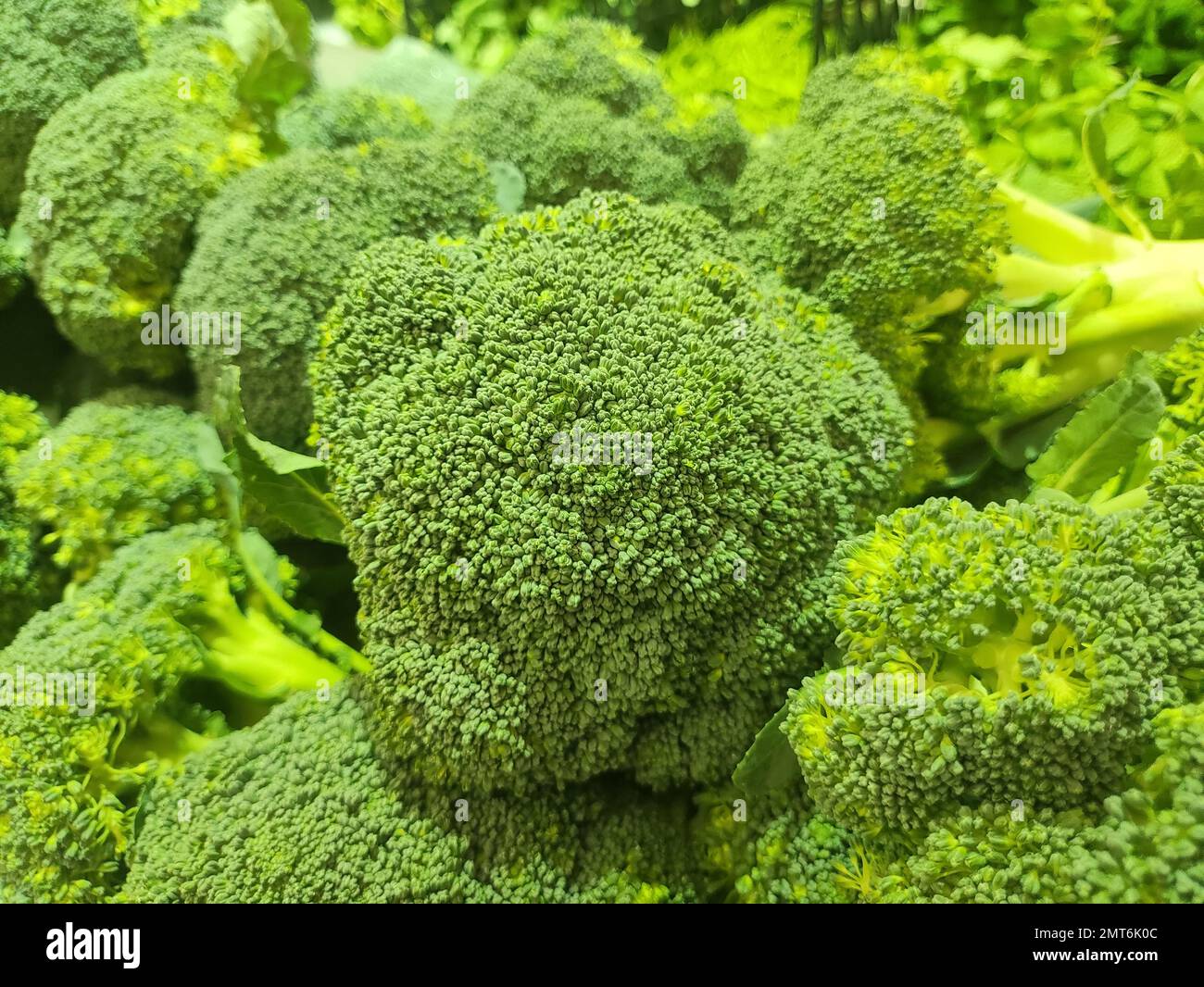 Selektives Fokusbild von Brokkoli im Supermarkt Stockfoto