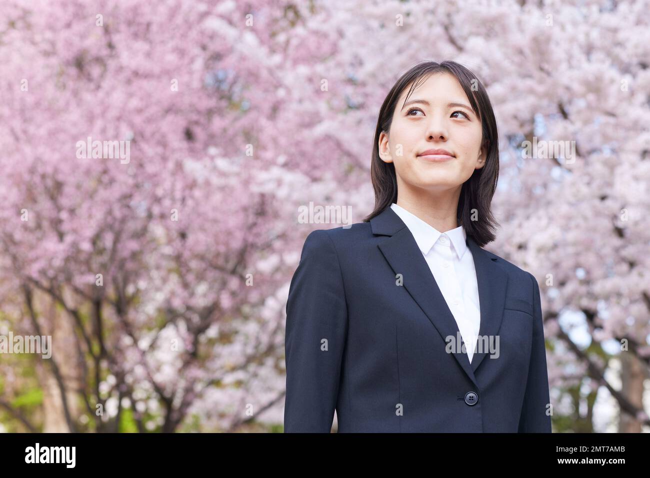 Japanische Geschäftsfrau mit Kirschblüten in voller Blüte Stockfoto