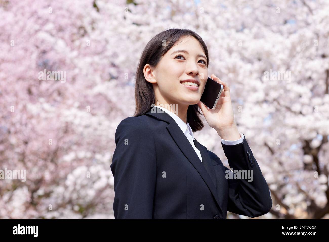 Japanische Geschäftsfrau mit Kirschblüten in voller Blüte Stockfoto