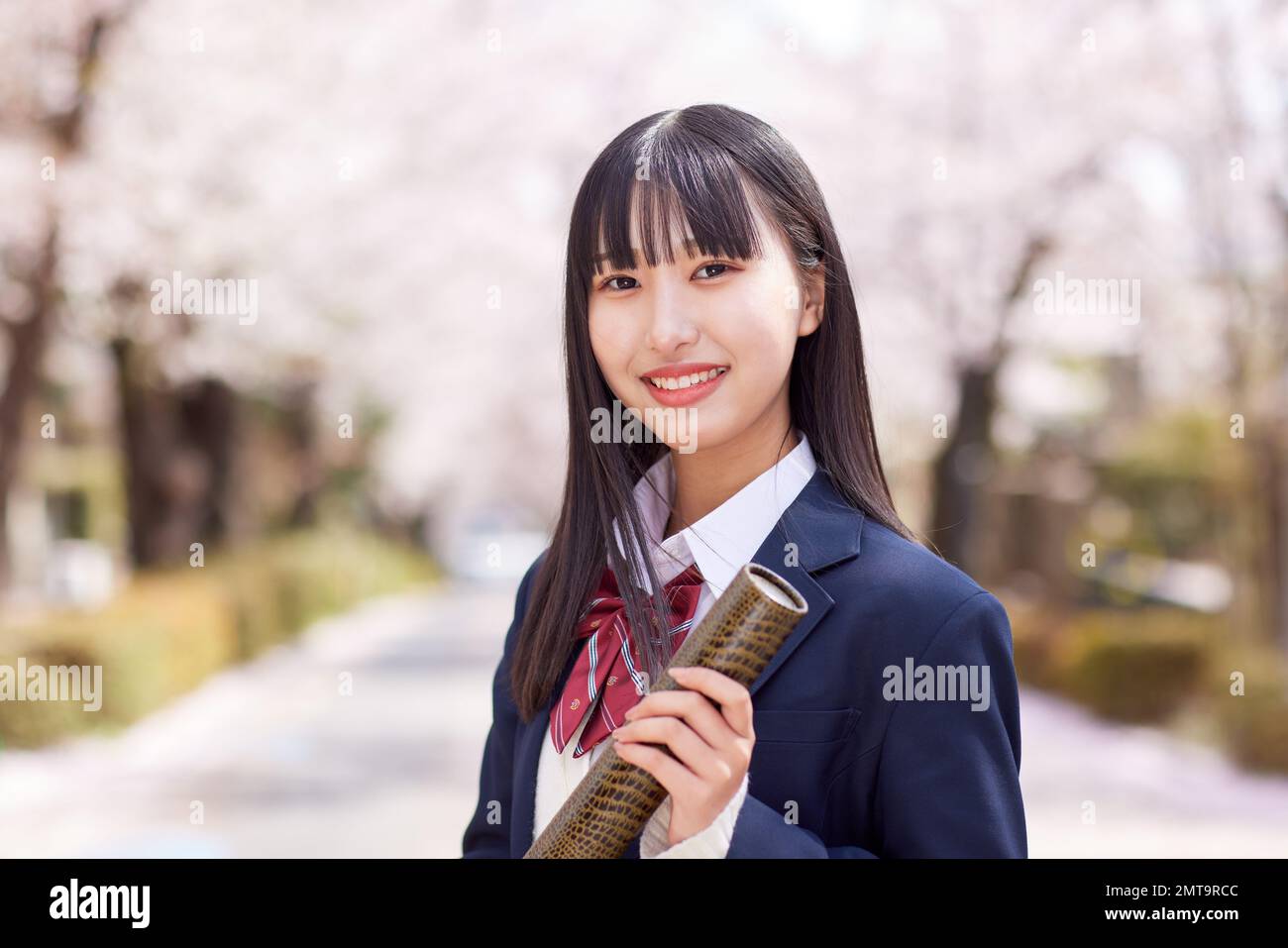 Japanisches Highschool-Porträt mit Kirschblüten in voller Blüte Stockfoto