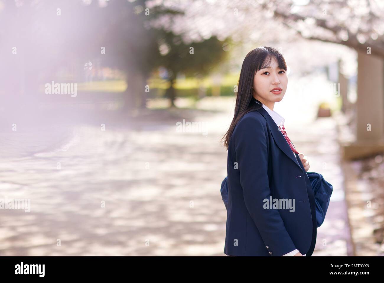 Japanisches Highschool-Porträt mit Kirschblüten in voller Blüte Stockfoto