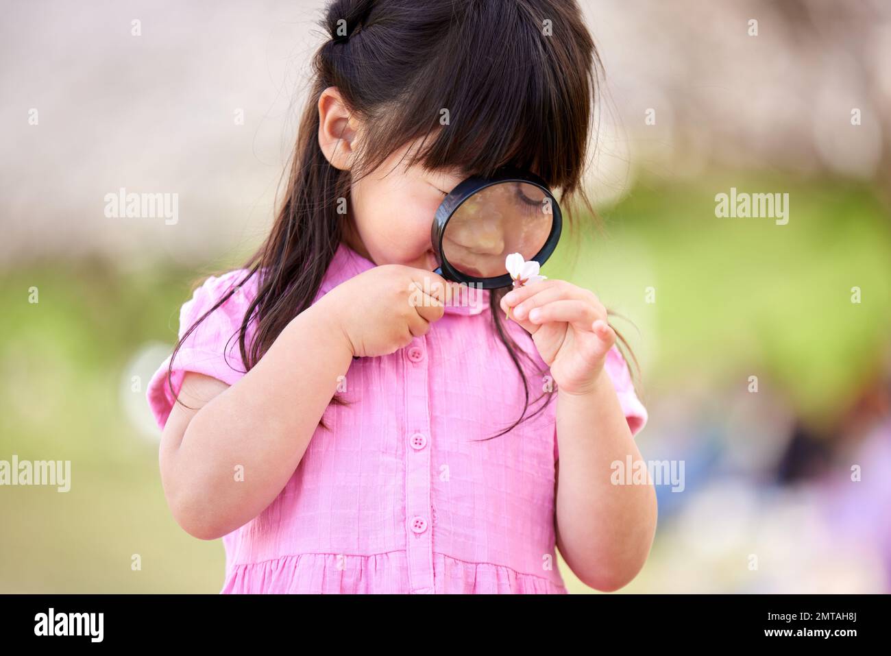 Japanisches Kinderporträt mit blühenden Kirschblüten Stockfoto