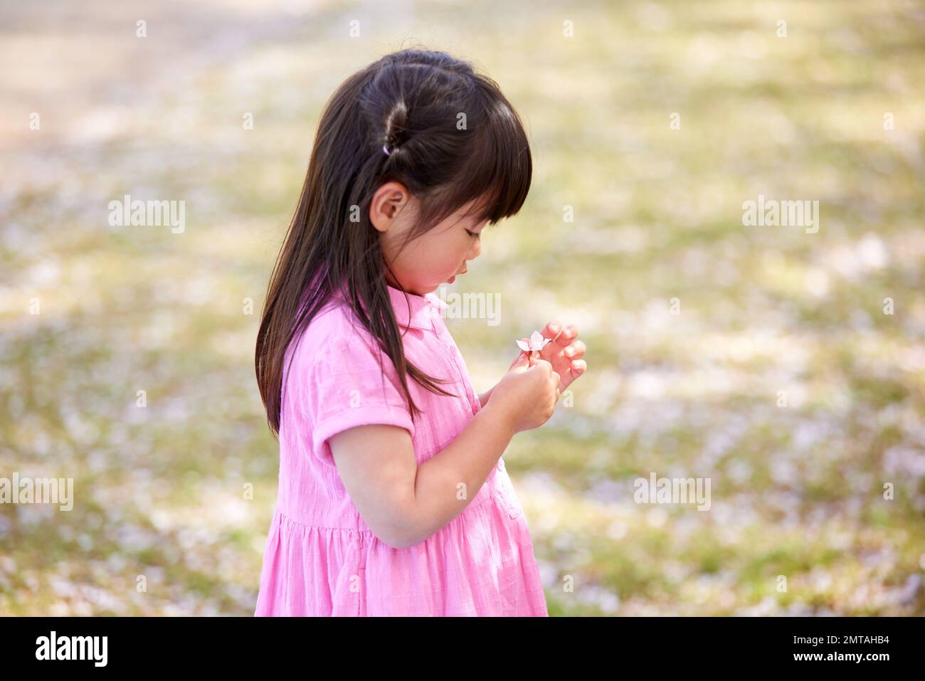 Japanisches Kinderporträt mit blühenden Kirschblüten Stockfoto