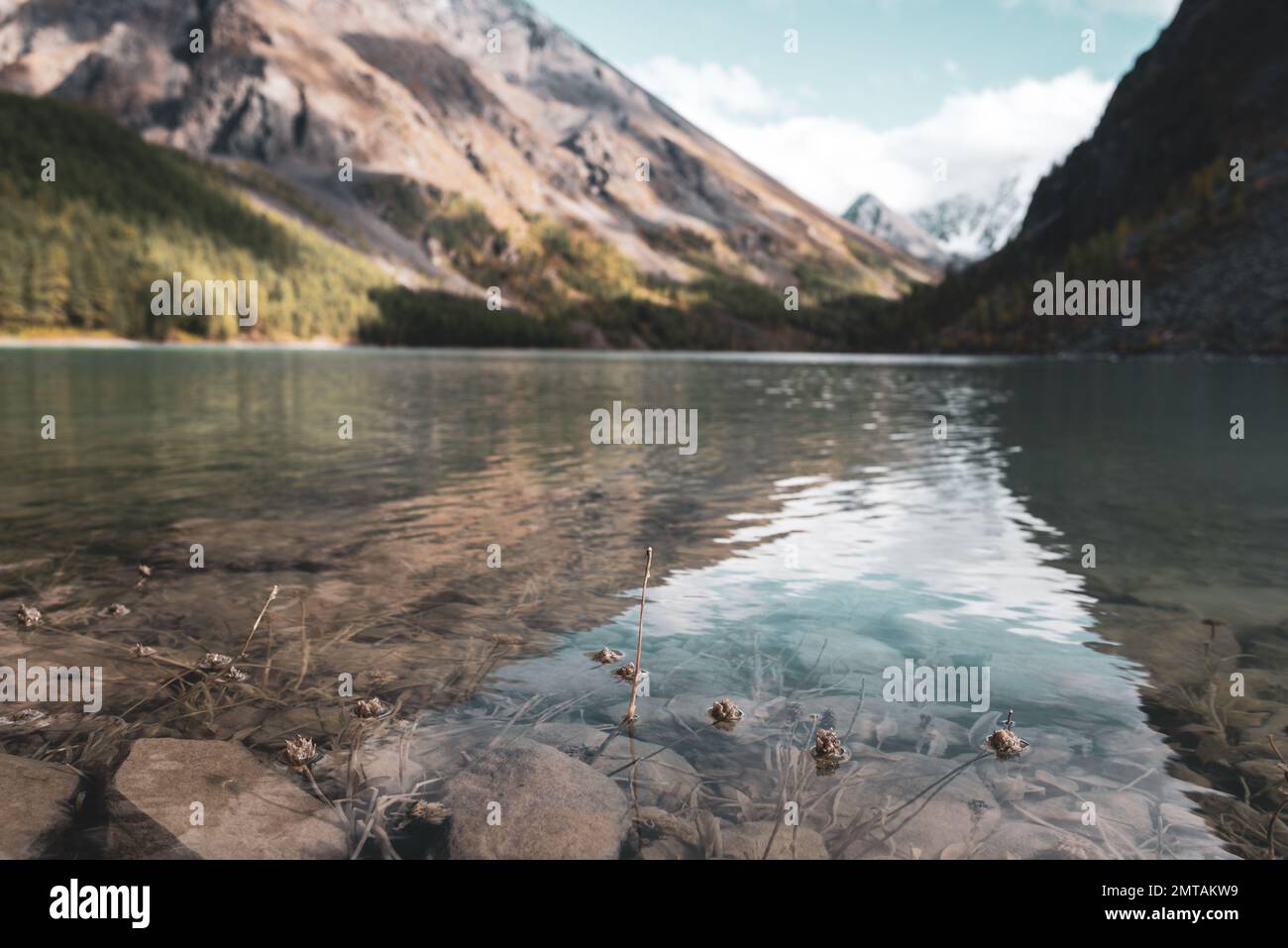 Transparentes Wasser eines Sees mit Steinen und trockenem Gras in Altai unter dem Himmel vor dem Hintergrund von Bergen mit Schnee und Gletschern. Stockfoto