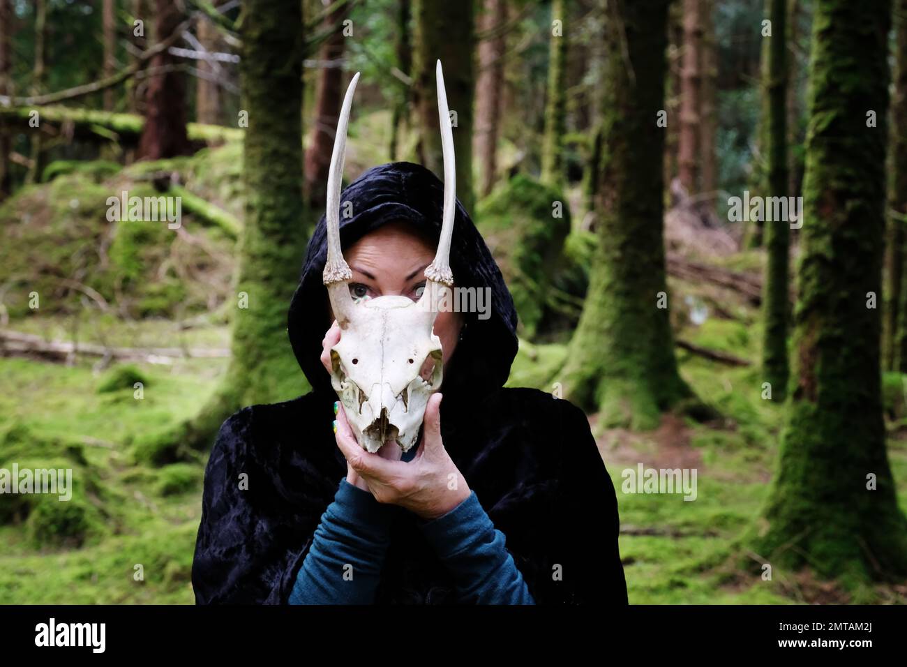 Eine böse Hexe, die einen Hirschschädel als Opfergabe hält - John Gollop Stockfoto