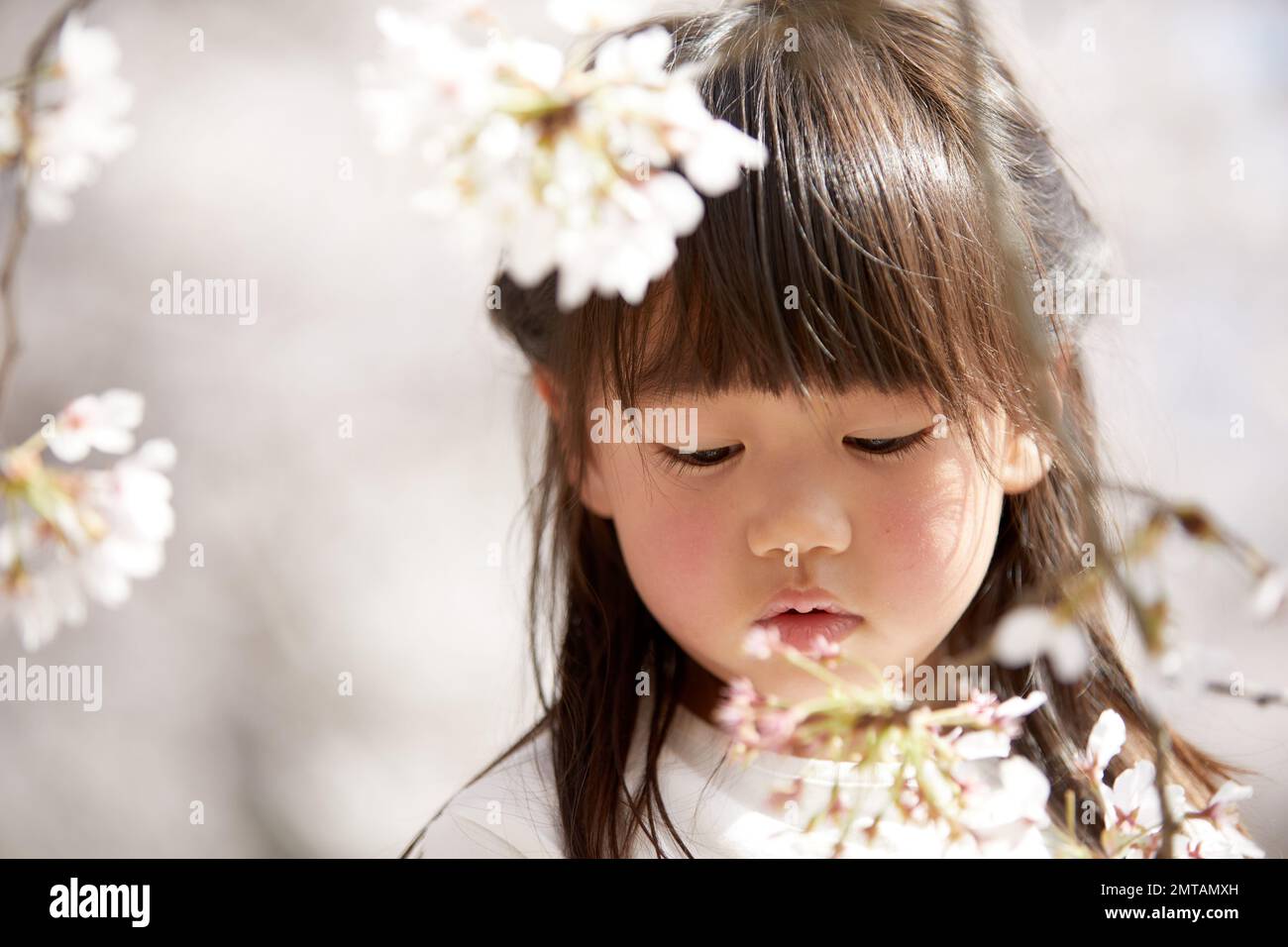 Japanisches Kinderporträt mit blühenden Kirschblüten Stockfoto