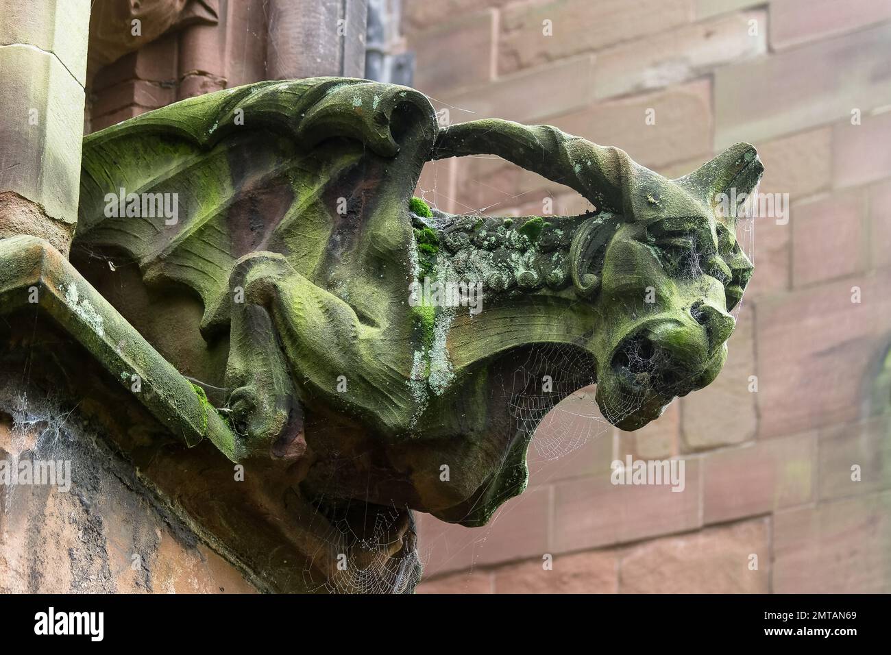 Gargoyle in der Lichfield Kathedrale Stockfoto