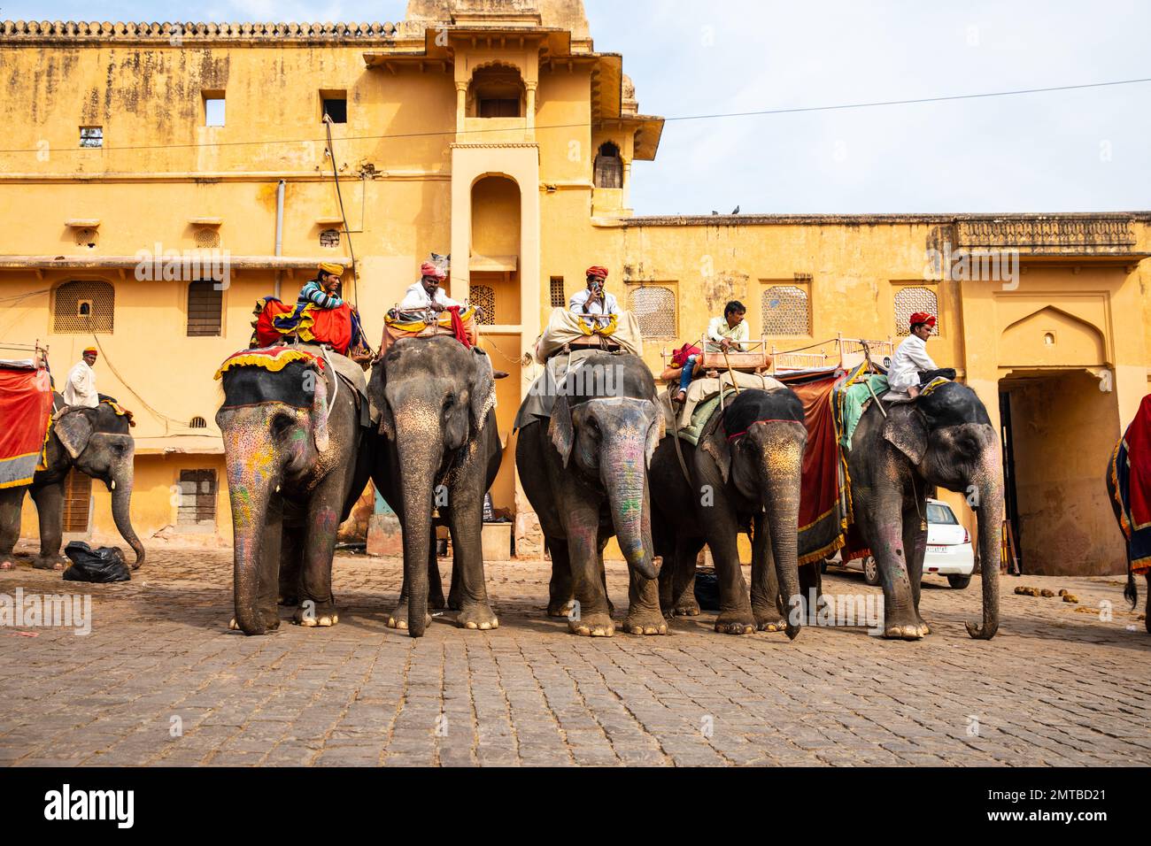 Elefanten und ihre Handler in Nahargarh Fort Jaipur, Rajasthan, Indien Stockfoto