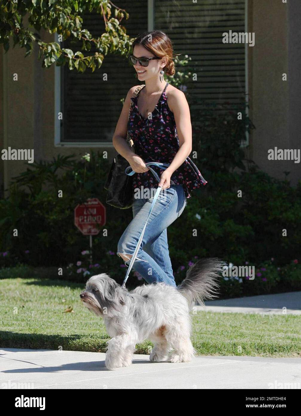 Exklusiv!! Rachel Bilson wurde heute bei einem Mittagessen mit Familie und Freunden in einem Vorort von Los Angeles gesehen. Sie hatte ihren Hund Thurmen Murmen mitgebracht. Es gibt weiterhin Spekulationen über den Status von Rachels Beziehung zu Schauspieler Hayden Christensen und darüber, ob die beiden involviert sind. Los Angeles, Kalifornien. 9/8/08. Stockfoto