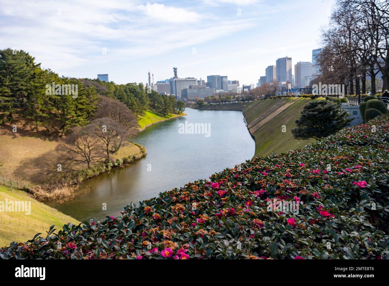 Tokio, Japan. 1. Februar 2023. Ein Landschaftsblick auf den Kaiserpalast von Chiyoda Stadt in Richtung Minato Stadt und Roppongi. Der Kaiserpalast (çš‡å±…, KÅkyo) ist die Hauptresidenz des Kaisers von Japan im Herzen von Tokio. Der Palast ist von einem großen Graben und einer Reihe von Steinmauern umgeben. Das Gelände des Schlosses ist zu bestimmten Zeiten für die Öffentlichkeit zugänglich. Besucher können den Palast über die Nijubashi-Brücke betreten und den wunderschönen Ostgarten des Schlosses sehen. Kredit: ZUMA Press, Inc./Alamy Live News Stockfoto